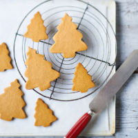 Gingerbread Christmas trees