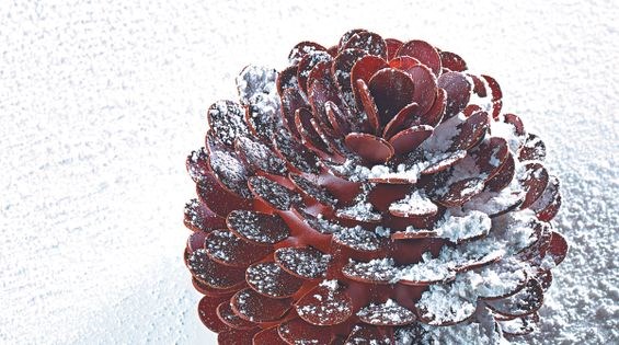 Gingerbread pinecone
