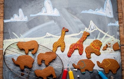 Gingerbread safari park