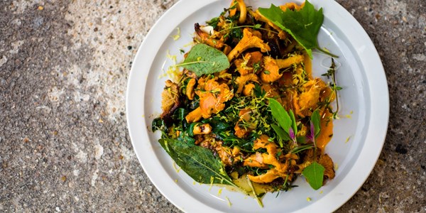 Girolles with herbs, fried breadcrumbs and eggs