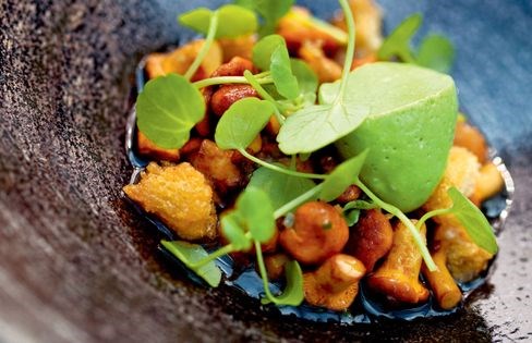 Girolles/mushroom ketchup/watercress