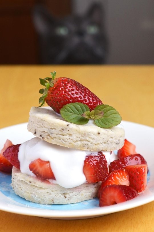 Gluten-free & vegan strawberry shortcake