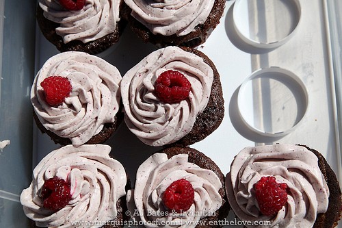 Gluten free chocolate cupcakes with whipped cream cream cheese frosting