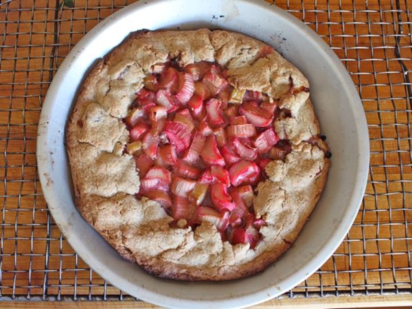 Gluten-free rhubarb pie with sorghum crust