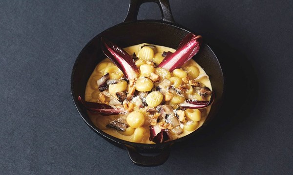 Gnocchi with Taleggio, radicchio tardivo and walnuts