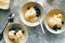 Goat cheese ice cream with fennel, lemon and honey