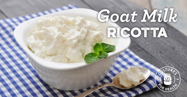 Goat milk ricotta cheese