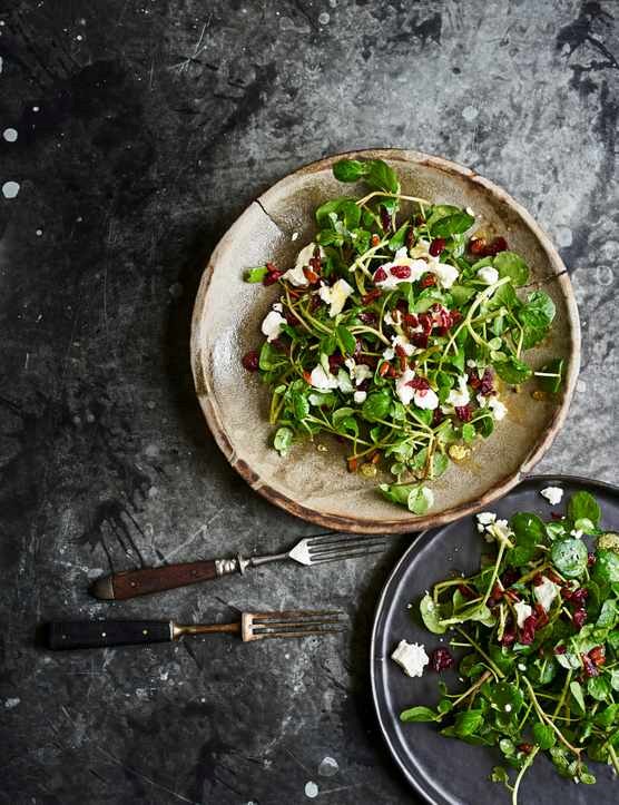 Goat's cheese, sunflower seed and cranberry salad