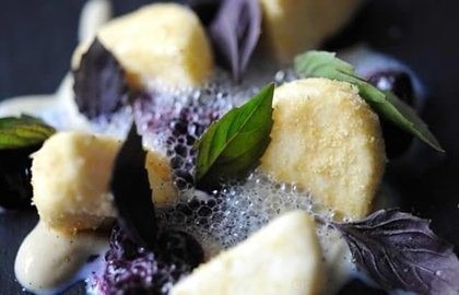 Goat's curd parfait, blueberries and purple basil