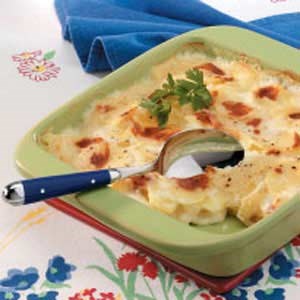 Golden scalloped potatoes 