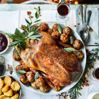 Goose with pecan stuffing and red wine gravy