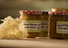 Gooseberry and elderflower fridge jam