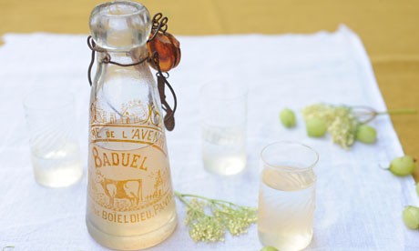 Gooseberry and elderflower "muscat" syrup