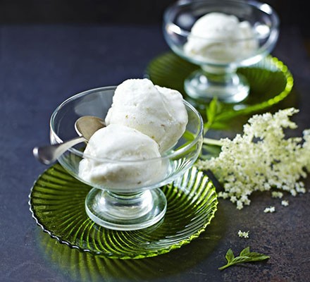 Gooseberry, elderflower & Sauvignon sorbet