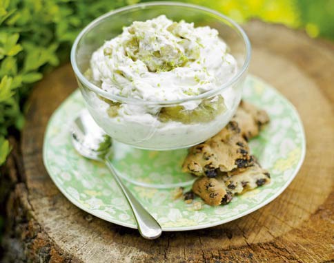 Gooseberry fool & homemade Garibaldis