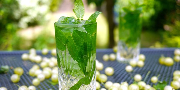 Gooseberry gin julep 
