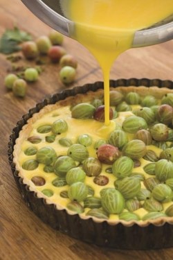 Gooseberry tart