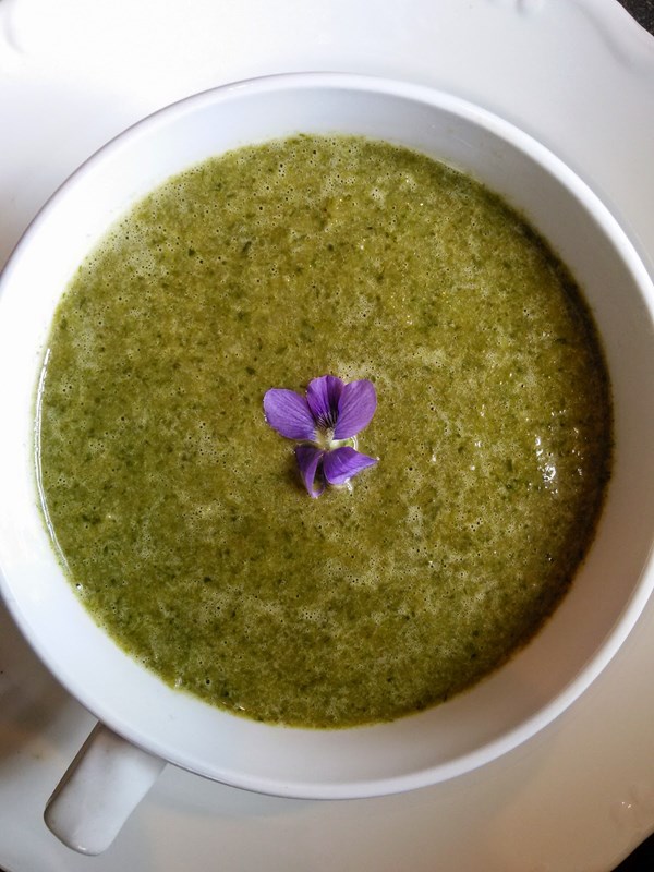 Goosegrass (cleavers) soup