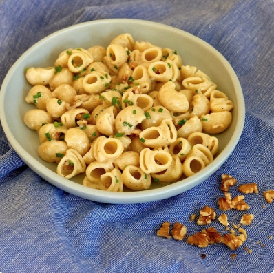 Gorgonzola & walnut sauce with lumache