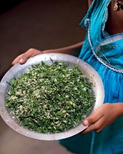 Gotu kola