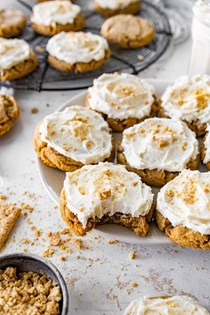 Graham cracker cookies with frosting 