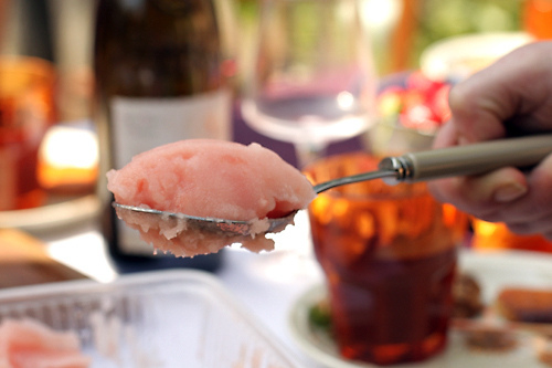 Grapefruit campari sorbet