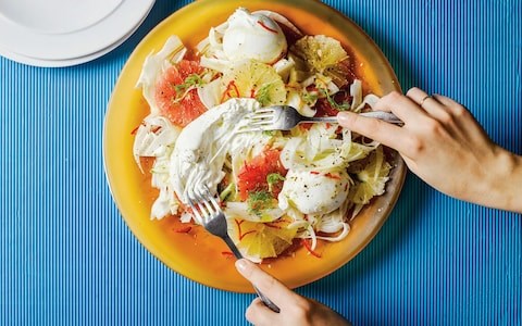 Grapefruit, fennel, burrata, olive oil and  sea salt