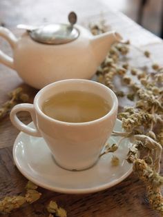 Greek mountain tea