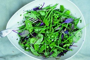 Green bean salad with mustard seeds and tarragon