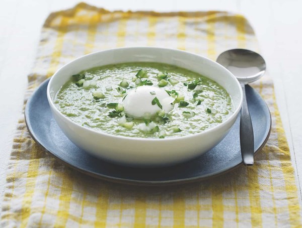 Green gazpacho with burrata