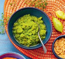 Green nokos (for fish and crustaceans)