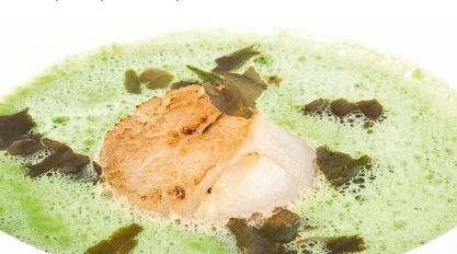 Green pea soup with scallops and seaweed