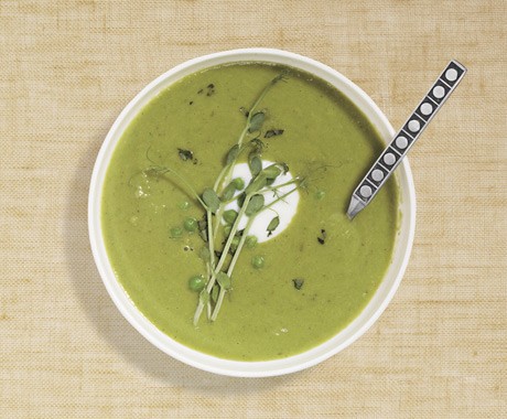 Green pea soup with tarragon and pea sprouts
