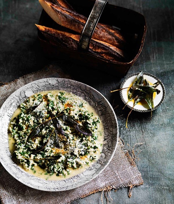 Green risotto with Piave vecchio and sage