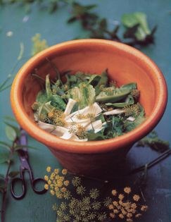 Green salad with fennel (Insalata verde con finocchio)
