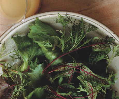 Green salad with mustard vinaigrette