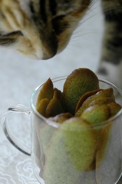 Green tea cat's tongues (Langues de chat au thé vert)