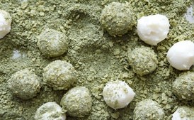 Green-tea truffles