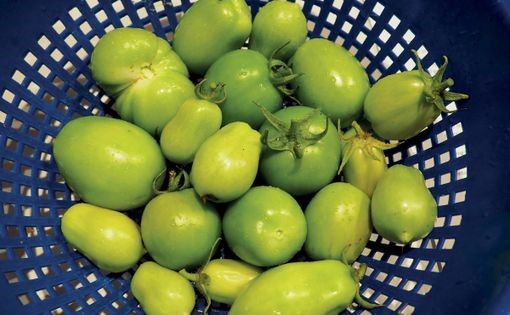 Green tomato pickles
