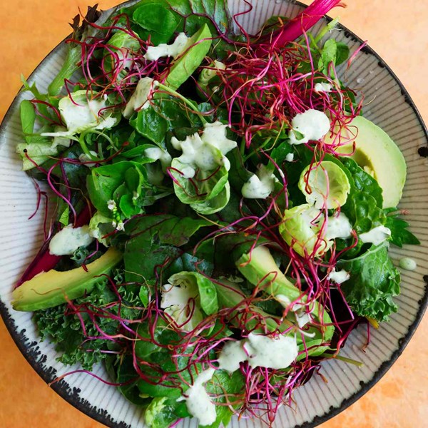 Green winter salad
