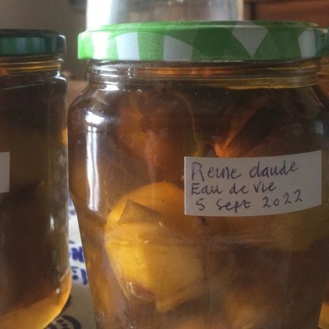 Greengages bottled in plum brandy (Les Reines-Claude à l'eau-de-vie)