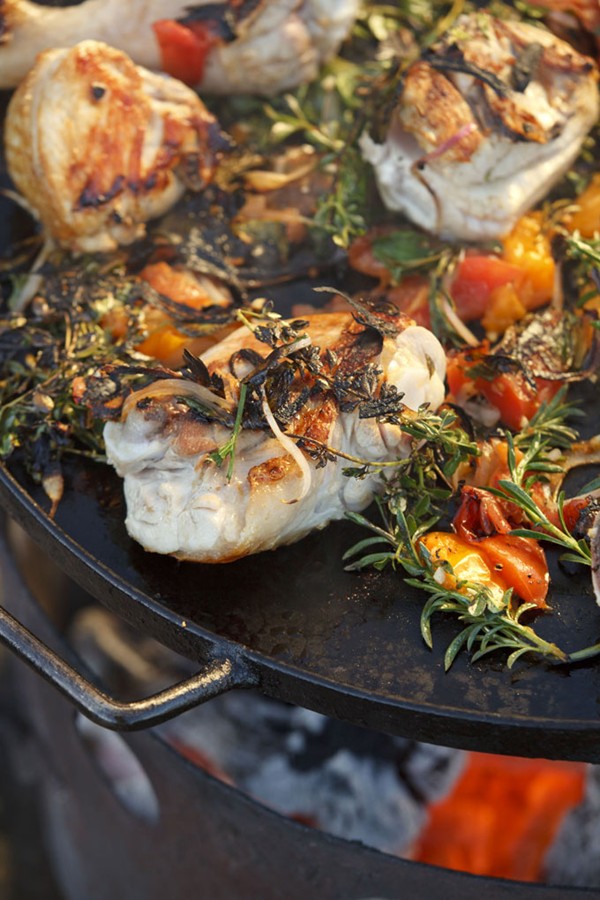Griddled chicken with charred herb and tomato salad