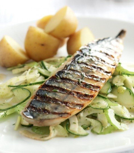 Griddled mackerel fillets with fennel and cucumber coleslaw