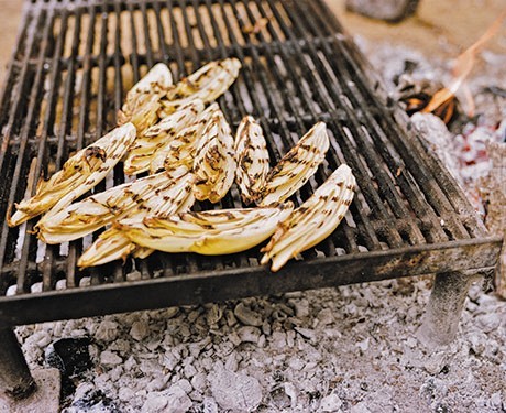 Grilled Belgian endive with fresh turmeric and walnuts