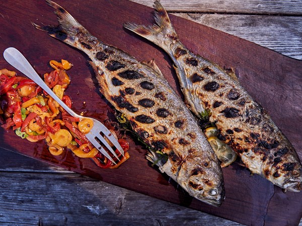 Grilled bluefish with charred cherries and peppers
