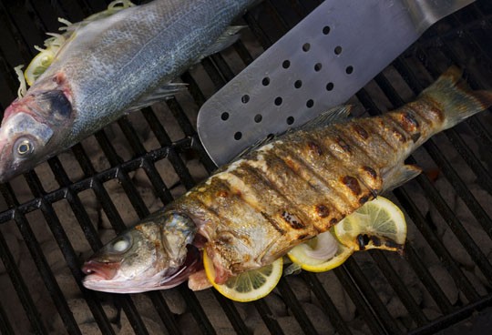 Grilled branzini with fennel, lemon, and shallot