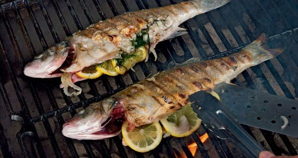 Grilled branzino with fennel, lemon, and shallot