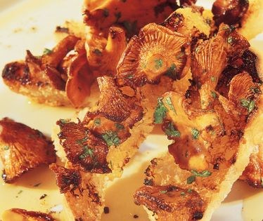 Grilled bread with mushrooms (Crostone ai funghi)