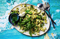 Grilled broccoli pasta salad