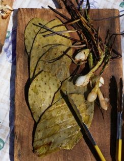 Grilled cebollitas